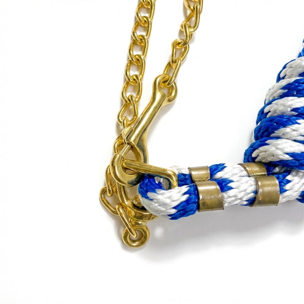 Guía con cadena