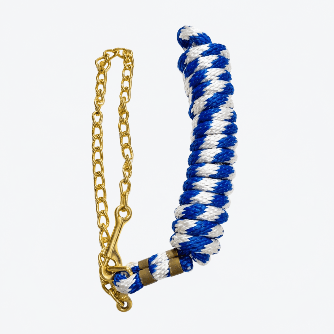 Guía con cadena