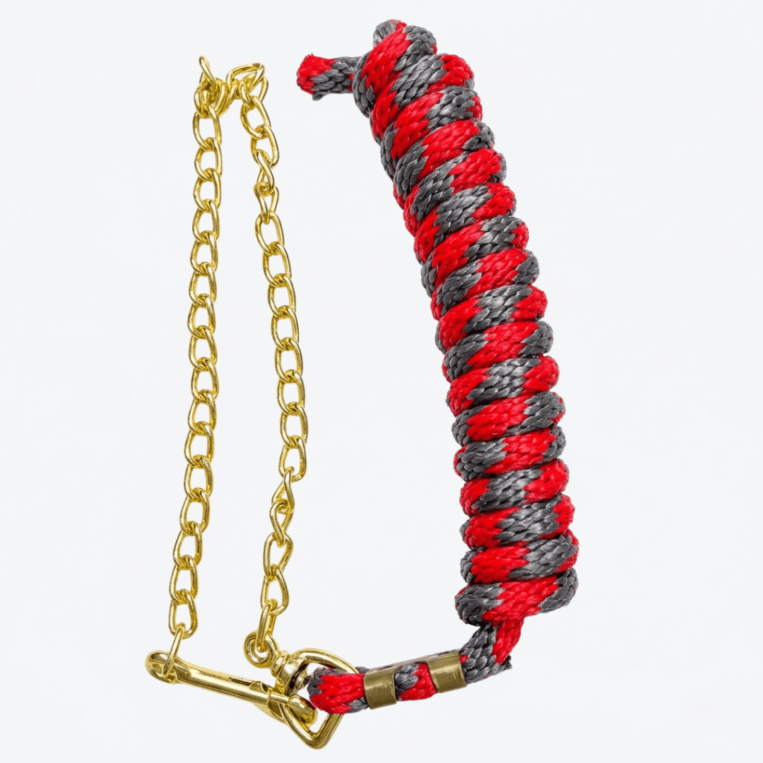 Guía con cadena