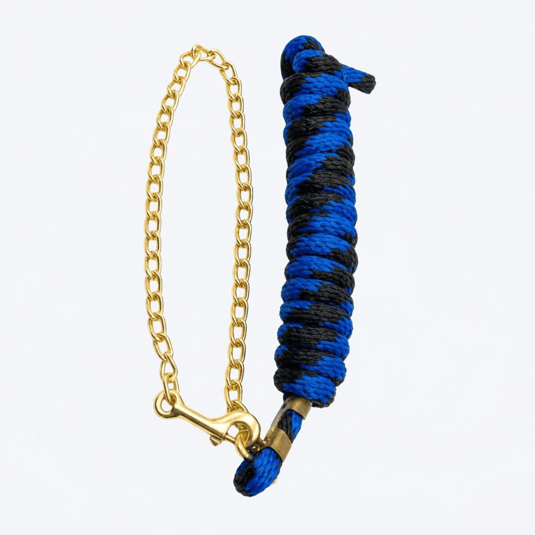 Guía con cadena