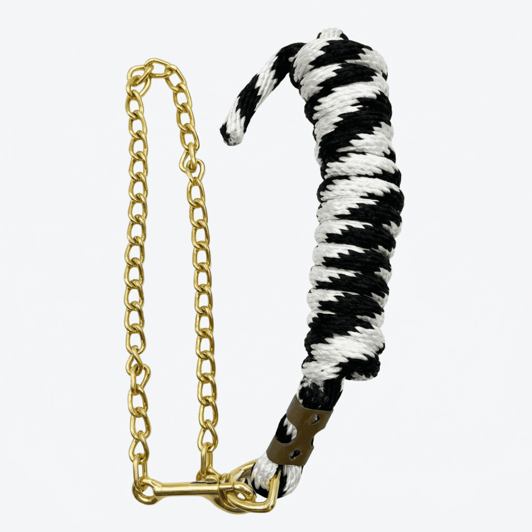 Guía con cadena