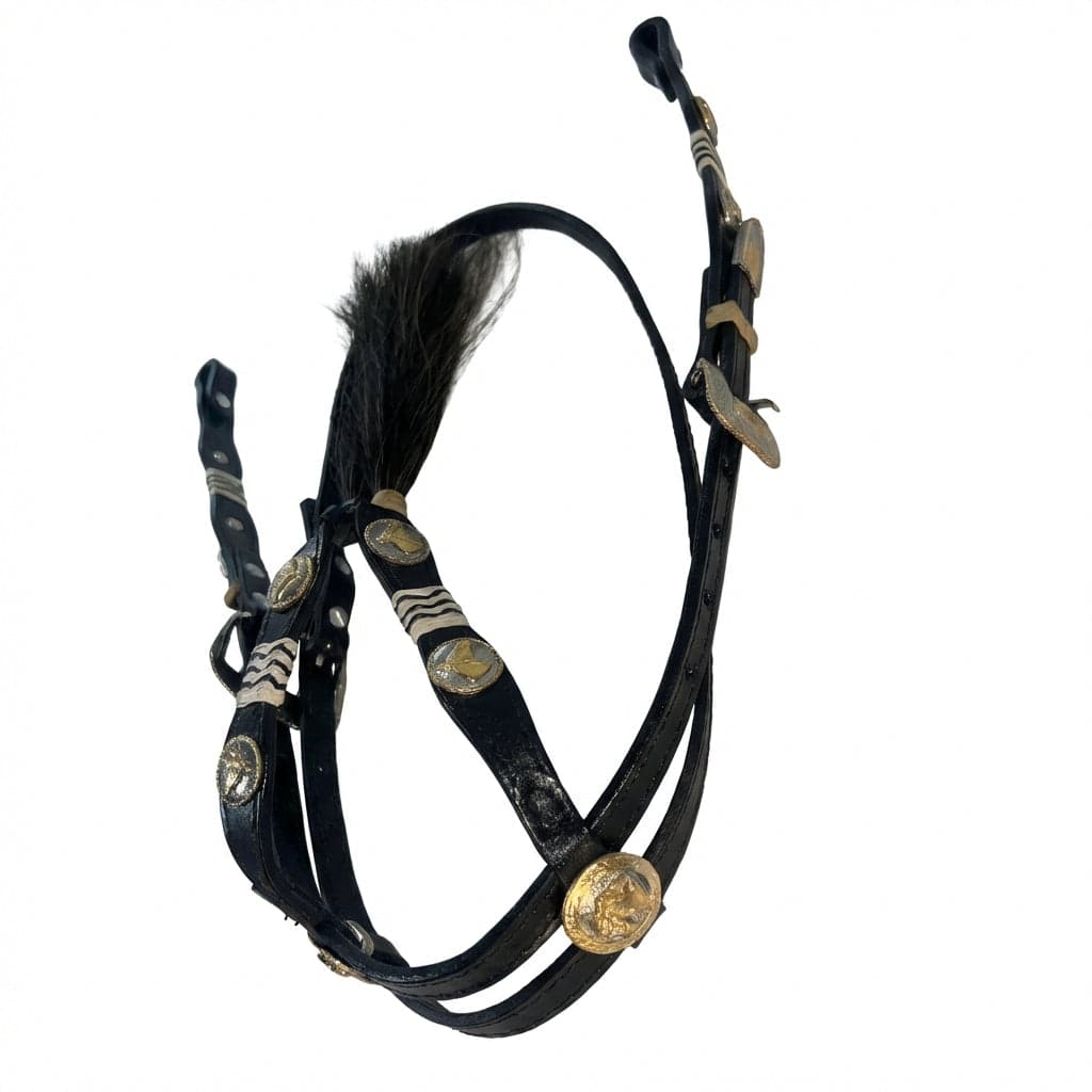 Cabezada fina de concho