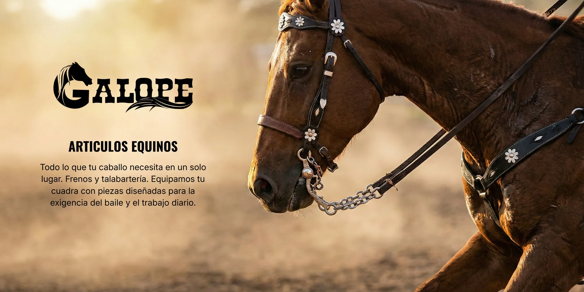 Galope · artículos equinos